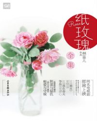 纸玫瑰(上下两册全集) 小说封面