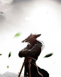 绝代风华之代黎篇在线